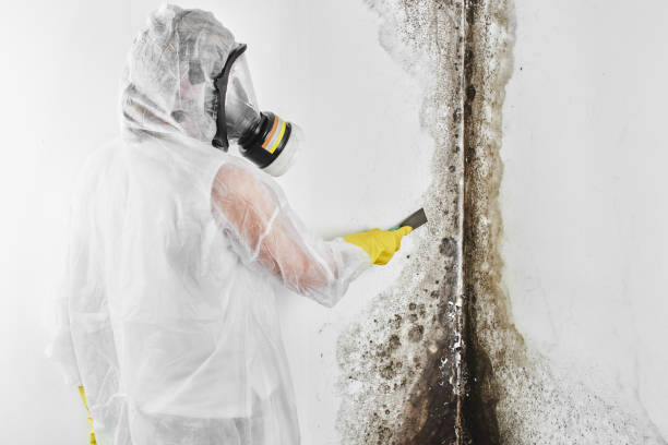 Water Damage Restoration in Kotlik, AK