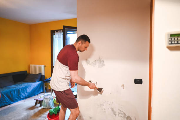 Best Local Mold Removal Service  in Kotlik, AK